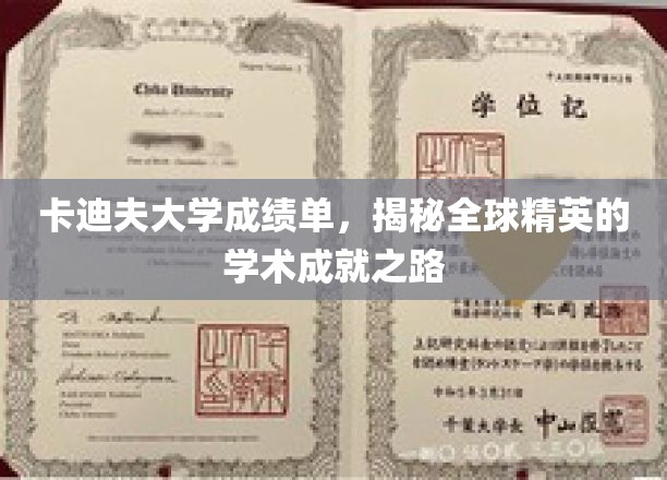 卡迪夫大学成绩单，揭秘全球精英的学术成就之路