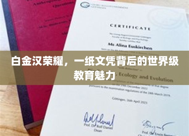 解码白金汉荣耀，文凭背后的国际教育奥秘