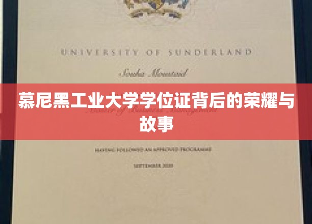 慕尼黑工业大学学位证背后的荣耀与故事