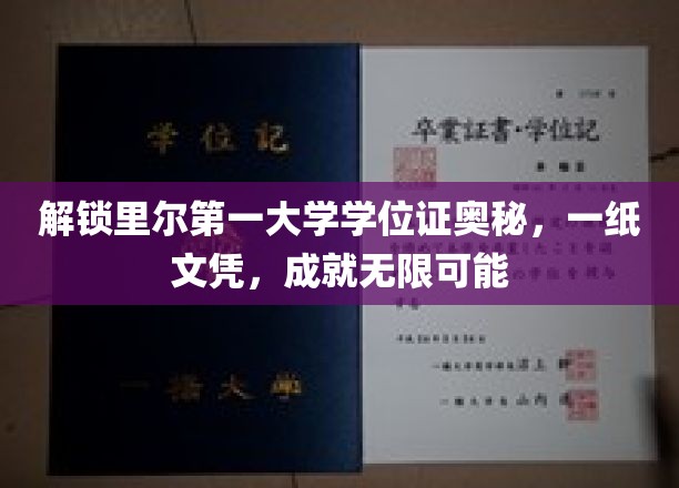 探秘里尔第一大学学位证的内涵，一纸文凭，开启无限前程
