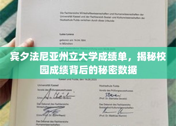 宾夕法尼亚州立大学成绩单，揭秘校园成绩背后的秘密数据