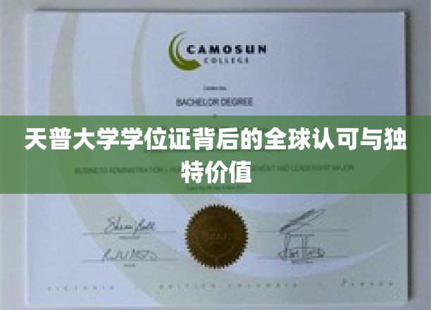 全球通行证，天普大学学位证的非凡魅力与全球认可