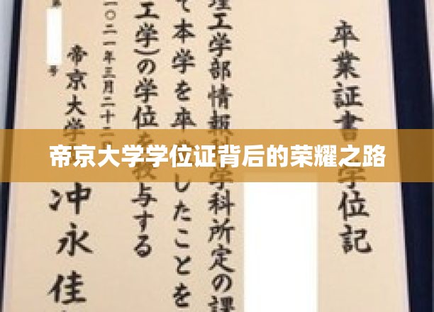 帝京大学学位证背后的荣耀之路