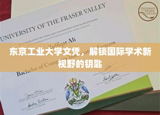 东京工业大学文凭，开启国际学术新视野的钥匙