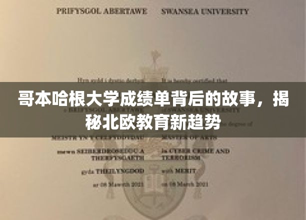 哥本哈根大学成绩单背后的故事，揭秘北欧教育新趋势