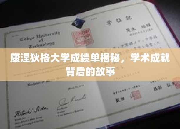 康涅狄格大学学霸档案，揭开学术辉煌背后的真实历程