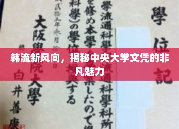 韩流新风向，深度解析中央大学文凭的独特魅力