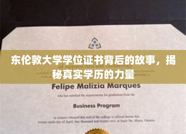 东伦敦大学学位证书背后的故事，揭秘真实学历的力量