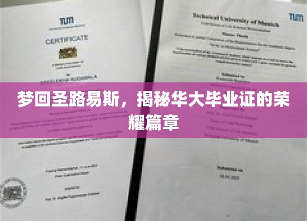 梦回圣路易斯，揭秘华大毕业证的荣耀篇章