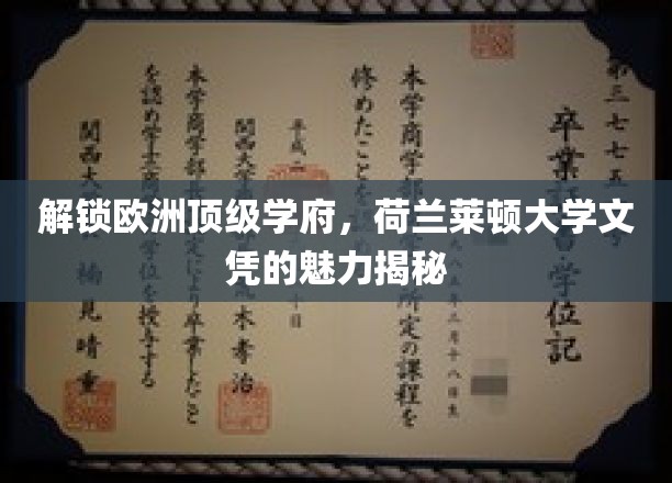 欧洲学府之光，揭秘荷兰莱顿大学文凭的独特魅力