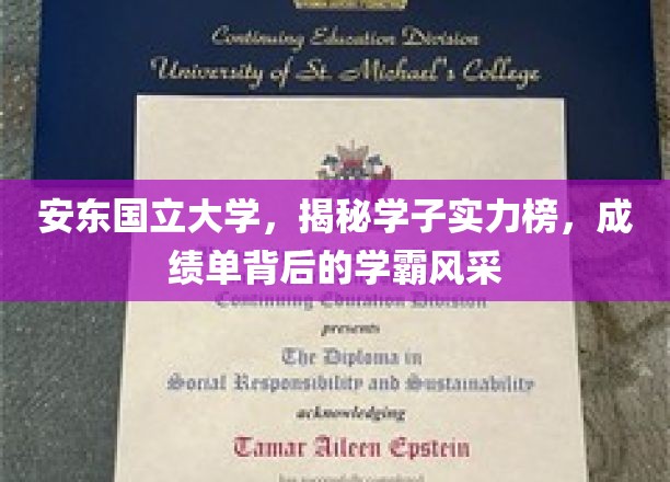 安东国立大学，揭秘学子实力榜，成绩单背后的学霸风采