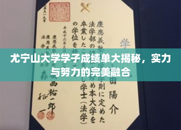 尤宁山大学学霸榜，揭秘成绩背后的汗水与智慧交融