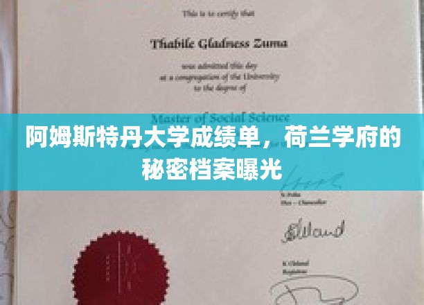 荷兰阿姆斯特丹大学，揭秘真实成绩单背后的秘密档案