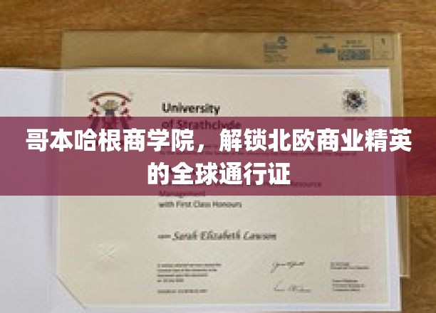 北欧商业精英的全球舞台通行证，哥本哈根商学院的秘密力量