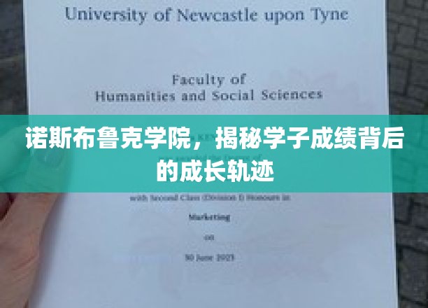 诺斯布鲁克学院，揭秘学子成绩背后的成长轨迹