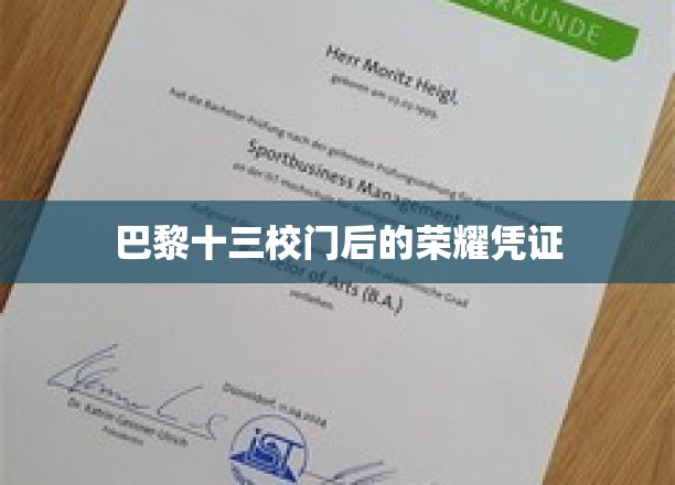 巴黎十三校门下的秘密荣耀印记