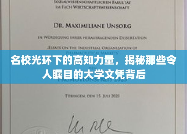 学府荣耀背后，揭秘高知圈层中令人侧目的文凭实力