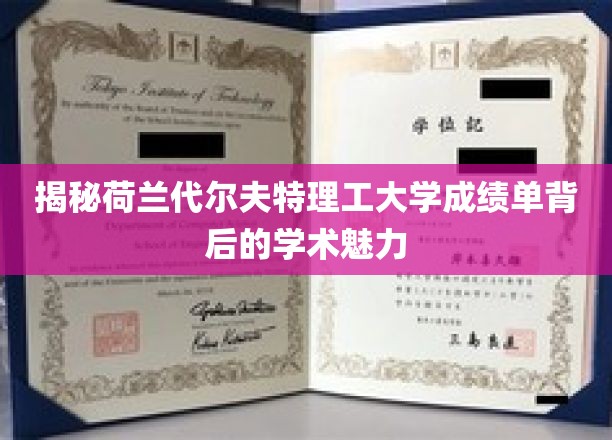解码荷兰代尔夫特理工，成绩单里的学术风采与智慧火花