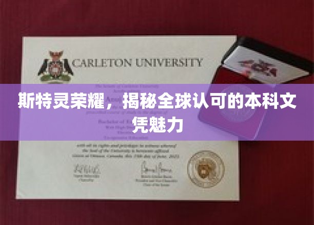 探索斯特灵大学的全球本科文凭之谜，非凡荣耀背后的教育魅力