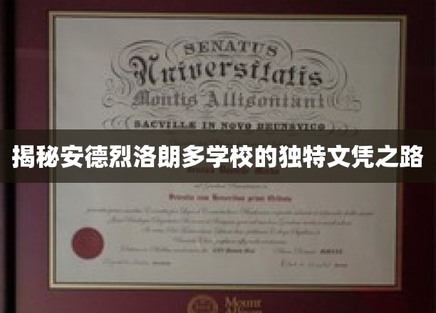 揭秘安德烈洛朗多学校的独特文凭之路