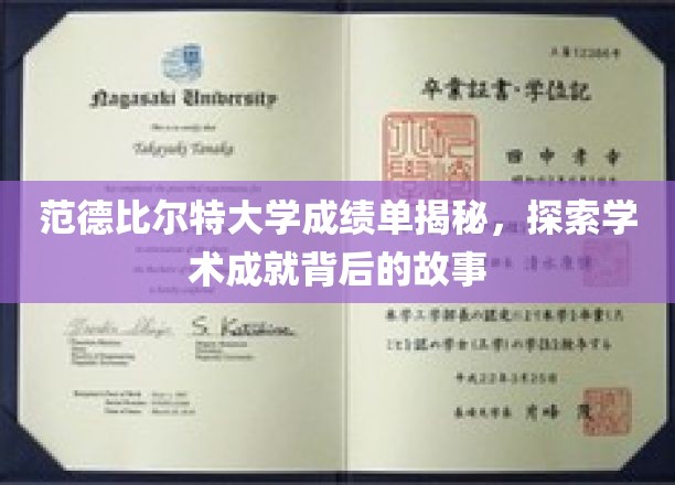 范德比尔特大学成绩单揭秘：探寻学术成就背后的辉煌故事