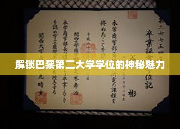 巴黎第二大学学位的魅力探索
