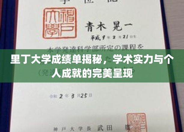 里丁大学成绩单背后的学术荣耀与个人成就全景解析