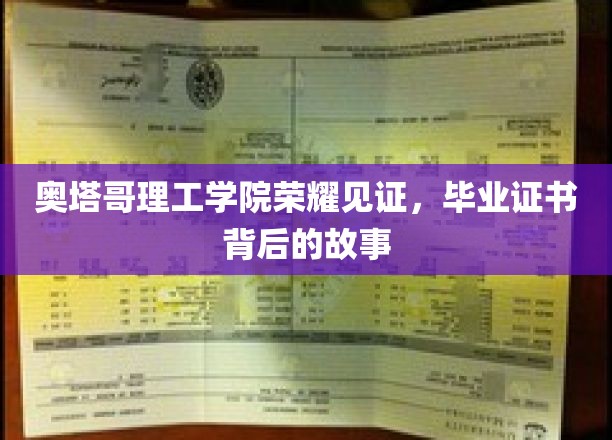 奥塔哥理工学院荣耀时刻，揭秘毕业证书背后的感人故事
