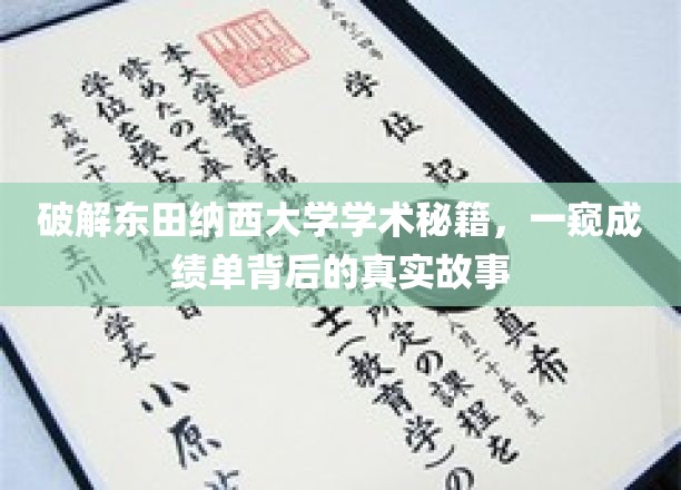 探寻东田纳西大学成绩单背后的惊人真相