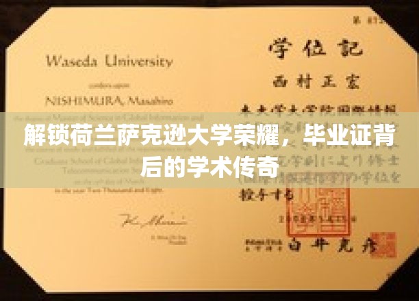 解锁荷兰萨克逊大学荣耀，毕业证背后的学术传奇