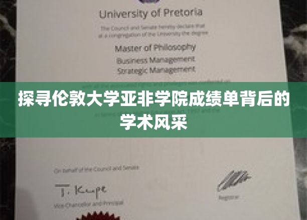 探寻伦敦大学亚非学院成绩单背后的学术风采