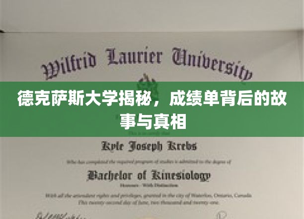 解码德克萨斯大学，成绩单背后的秘密与真实面纱