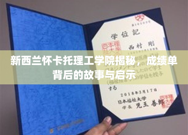 解码怀卡托理工学院，成绩单背后的教育真谛与人生启示