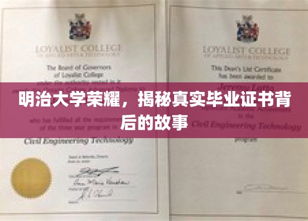 明治大学传奇，一纸毕业证书的辉煌历程