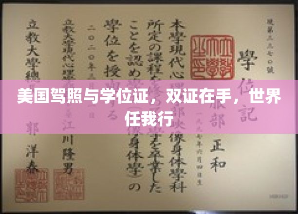 跨国通行证，驾照+学位证，解锁全球自由行之旅