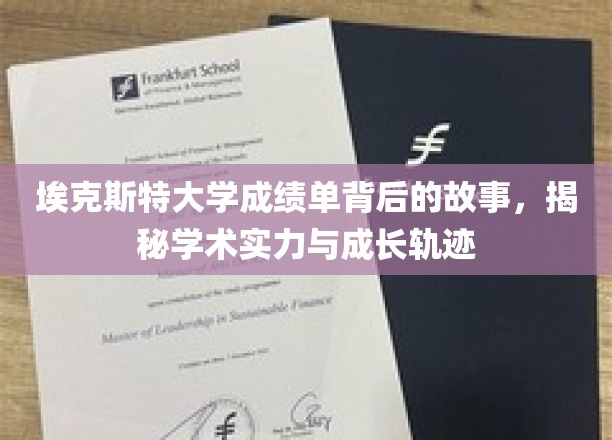 解码埃克斯特大学成绩单，探寻学子成长与学术实力的交织轨迹
