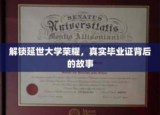 延世大学荣耀揭秘，揭秘真实毕业证的传奇历程