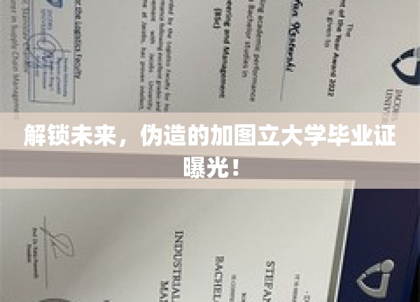 伪造学历惊现加图立大学，揭秘毕业证背后的真假风云