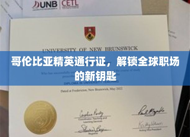 跨越国界，哥伦比亚精英通行证开启全球职场新篇章