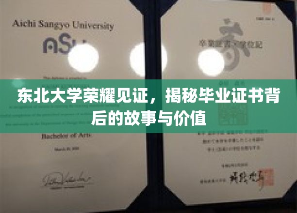 东北荣耀，一纸证书，见证北大学子的成长与价值
