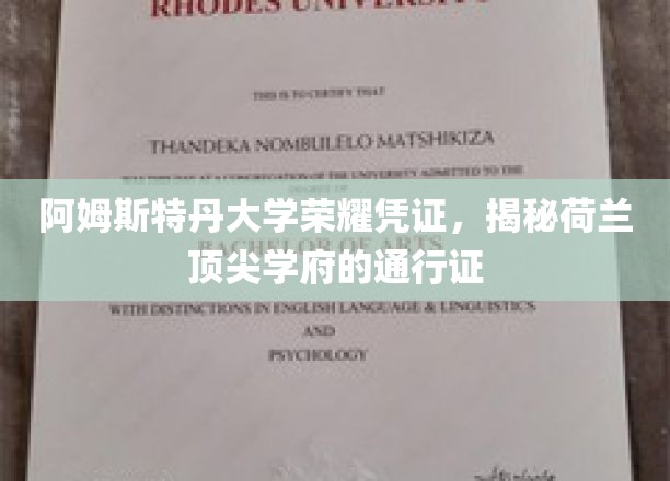 荷兰顶尖学府通行证，阿姆斯特丹大学荣耀凭证背后的故事