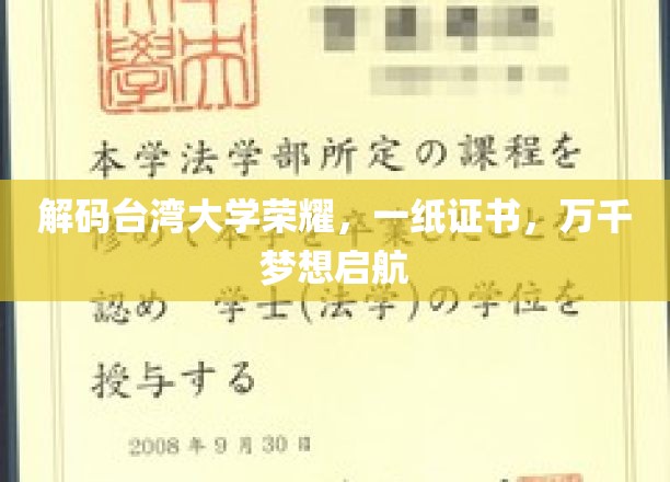 台大荣耀之路，一纸证书点亮万千青春梦想
