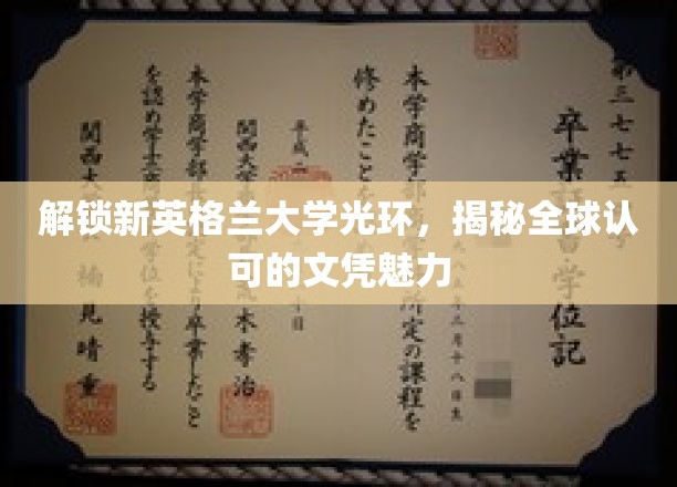 探寻新英格兰大学的魅力，国际认可的文凭之路