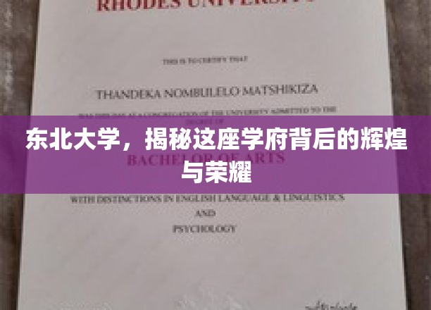 东北大学，揭秘这座学府背后的辉煌与荣耀