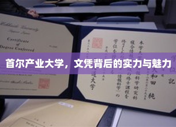 首尔产业大学,文凭背后的实力与魅力