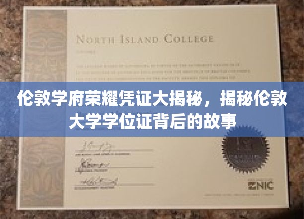 揭秘伦敦大学学位证背后的荣耀故事