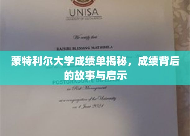 蒙特利尔大学成绩单背后，探寻学术成就的奥秘与启示