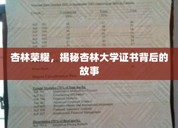 杏林传奇，一纸证书，见证杏林大学非凡历程