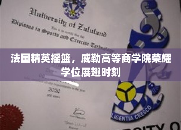 精英汇聚，威勒荣耀，法国顶尖商学院学位盛宴启幕