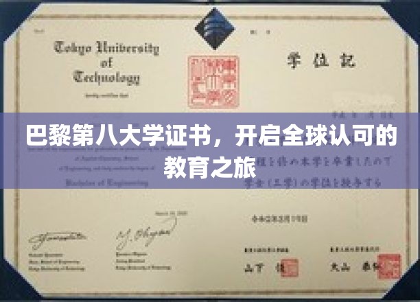巴黎第八大学证书，世界通行证的起点